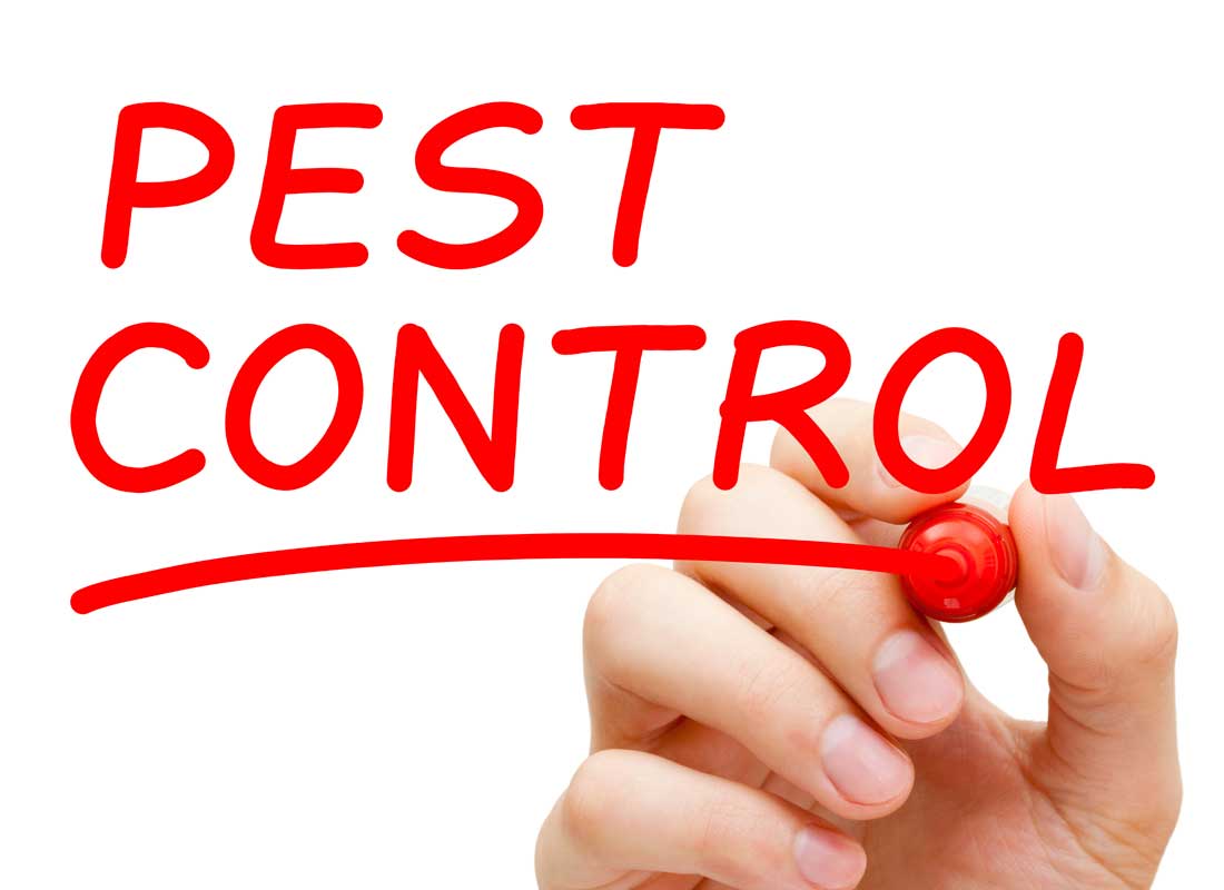 Easy Green and Eco-Friendly Pest Control Tips